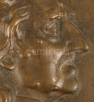 Olvashatatlan jelzéssel: Liszt Ferenc (1811-1886) réz plakettje. Jelzett 14x19 cm