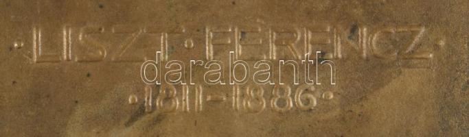 Olvashatatlan jelzéssel: Liszt Ferenc (1811-1886) réz plakettje. Jelzett 14x19 cm