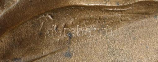 Olvashatatlan jelzéssel: Liszt Ferenc (1811-1886) réz plakettje. Jelzett 14x19 cm