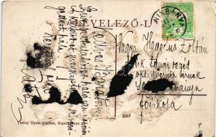 Kapnikbánya, Cavnic; Részlet a Guttinról (Gutin-hegység). Kiadja Terray Gyula / Muntii Gutai / mount...