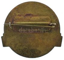 1970 k. "Az Egészségügy Kiváló Dolgozója" aranyozott, műgyantás fém jelvény (30x32mm) T:AU