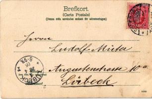 1905 Göteborg, Gothenburg; Fran Sveriges Västkust / Swedish folklore, fish market on the coast (fl)