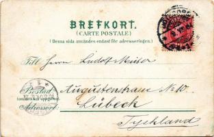 1904 Göteborg, Gothenburg; Motiv fran Slottsskogen / forest park, restaurant garden (worn corners)