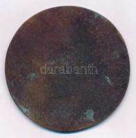 DN "Nyomdaipari Dolgozók Szakszervezete - 60 éves tagságért - 1862" fém emlékérem (69mm) T...