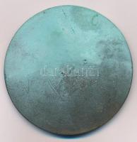1972. "1000 éves Székesfehérvár" egyoldalas, öntött bronz emlékérem T:AU patina