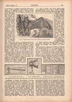 [Folyóirat] Zászlónk. Ifjúsági lap. Felelős szerkesztő: Radványi Kálmán. Megjelenik minden hó 15-én....