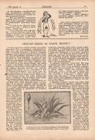 [Folyóirat] Zászlónk. Ifjúsági lap. Felelős szerkesztő: Radványi Kálmán. Megjelenik minden hó 15-én....