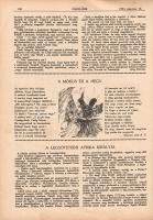 [Folyóirat] Zászlónk. Ifjúsági lap. Felelős szerkesztő: Radványi Kálmán. Megjelenik minden hó 15-én....