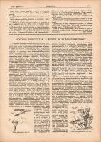 [Folyóirat] Zászlónk. Ifjúsági lap. Felelős szerkesztő: Radványi Kálmán. Megjelenik minden hó 15-én....