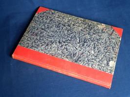 [Folyóirat] Zászlónk. Ifjúsági lap. Felelős szerkesztő: Radványi Kálmán. Megjelenik minden hó 15-én....