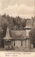 Csucsa Goga Hunting cottage