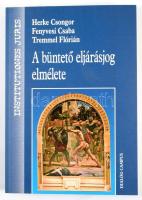 Herke Csongor - Fenyvesi Csaba- Tremmel Flórián: A büntető eljárásjog elmélete. Bp.-Pécs, 2014, Dialóg Campus. Kiadói papírkötés.
