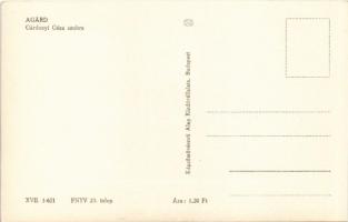 Agárd (Gárdony), Gárdonyi Géza szobra. Képzőművészeti Alap