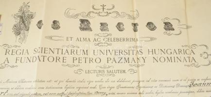 1929 Bekkert János dr.orvosi diplomája Kétly Károly (1839-1927) rektor Wolkenberg Alajos (1871-1935)...