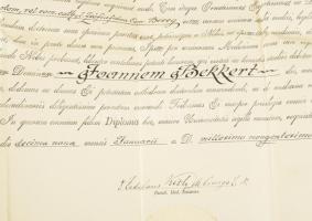 1929 Bekkert János dr.orvosi diplomája Kétly Károly (1839-1927) rektor Wolkenberg Alajos (1871-1935)...