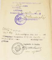 1929 Bekkert János dr.orvosi diplomája Kétly Károly (1839-1927) rektor Wolkenberg Alajos (1871-1935)...