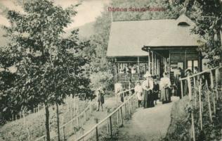 Szovátafürdő villa (EK)