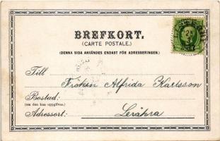 1903 Indalsälven, Laxfiske vid Indalselfven / riverside, salmon fishing (EK)