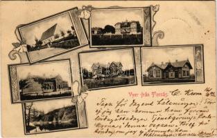 1901 Torsas, Vyer fran Torsas / multi-view postcard. Art Nouveau, floral (EK)