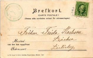 1903 Edestad, Hjortsberga skyttepaviljong / shooting pavilion, shooting range (EK)