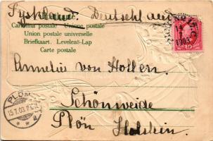 1903 Stockholm, Kungl. Slottet / royal palace. K. Holström Art Nouveau, floral, Emb. frame (wet dama...