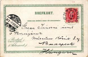 1899 Göteborg, Gothenburg; Kungsportsavenyen / street view. litho (worn corners)