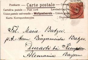 1902 Schweden u. Norwegen / Sweden and Norway. Art Nouveau, litho map with Swedish flag (EB)