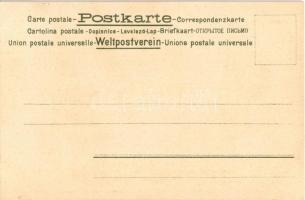 Schweden u. Norwegen / Sweden and Norway. Art Nouveau, floral litho map with Swedish flag, reindeer ...