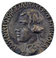 DN "Bessenyei György Tanárképző Főiskola" egyoldalas, öntött sárgaréz plakett (~85mm) T:XF