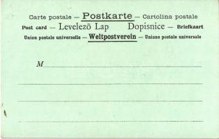 La Poste en Suede / Swedish Post. Photocol Wien Art Nouveau, litho with Swedish flag and stamp (EK)