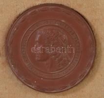 Meissen kerámia plakett Johann Friedrich Böttger arcképével, jelzett, tokban, d: 6,5 cm