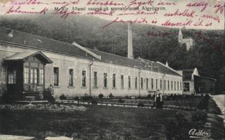 Algyógy Sanatorium of the Iron works
