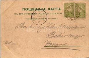 1900 Plovdiv, Philippople, Philippopolis; general view. Art Nouveau, floral frame (EB)