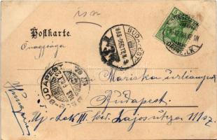 1903 Düsseldorf, Königsallee. Schaar &amp; Dathe / street, tram, shops (EK)