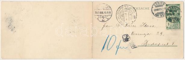 1900 Zürich, Zurich; Zürich von der Waid / 2-tiled folding panoramacard. Carl Künzli litho (torn at ...