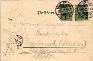 1900 Magdeburg, Wilhelmsgarten / garden restaurant. Art Nouveau, floral, litho (EK)