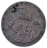 Kenéz László (1942-2019) 1979. "Vezess Baleset Nélkül Mozgalom" egyoldalas bronz emlékplakett (94mm) T:AU,XF patina