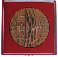 1975. "Felszabadulásunk 30. évfordulójára" egyoldalas, öntött bronz plakett, dísztokban T:AU