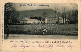 1898 Walferdange, Chateau, Grand Duché de Luxembourg. Charles Bernhoeft / castle (EK)
