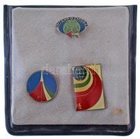 1980. 3db-os űrkutatás témájú, műgyantás jelvény tétel, mind INTERKOZMOSZ és Szovjet-Magyar Közös Űrrepülés T:UNC,AU