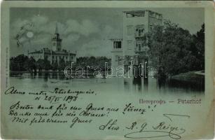 1898 Petergof, Peterhof, Petrodvorets (Saint Petersburg); view at night in moonlight. Druck von Gran...