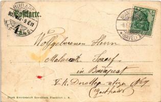 1902 Brandenburg, St. Annenstrasse / street view, tram. Verlag Robert Fleischer. Druck Kunstanstalt ...