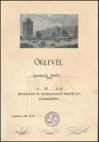 1988 Bp., a Fővárosi Vízművek oklevele Szmetella Miklós vízmérnök részére, aláírásokkal, 30x21 cm