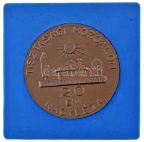 DN "Tisztasági Mozgalom - 20 év Nagyléta" bronzozott fém emlékérem, műanyag keretre rögzítve (89x89mm) T:AU