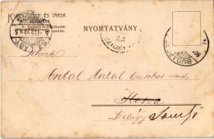 1901 Megy a juhász szamáron... Petőfi dalai. Kunz József és Társa kiadása. Posner és Fia / Hungarian...