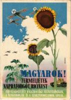 1943 Harcigépeinknek olaj kell! Termeljünk napraforgót, ricinust! Második világháborús magyar katona...