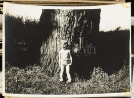 Vegyes régi és modern fotó tétel, műanyag tartódobozban, 24x12x8,5 cm