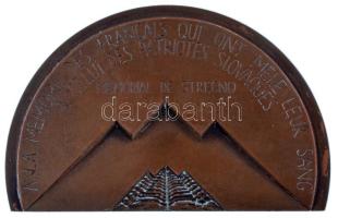 Franciaország 1982. "Á la Memoire des Francais qui ont mélé leur Sang a celui des Patriotes Slovaques - Memorial de Strecno / En Souvenir des Francais qui ont combattu aves les Slovaques lors de l'Insurrection Nationale - Aout 1944 - Mai 1945" bronz emlékplakett, peremén jelzett (57x87mm) T:AU,XF patina France 1982. "Á la Memoire des Francais qui ont mélé leur Sang a celui des Patriotes Slovaques - Memorial de Strecno / En Souvenir des Francais qui ont combattu aves les Slovaques lors de l'Insurrection Nationale - Aout 1944 - Mai 1945" bronze plaque, hallmarked on edge (57x87mm) C:AUA,XF Patina