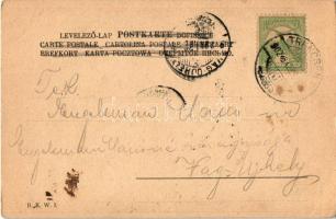 1902 'Haben Sie nicht den kleinen Kohn geseh'n?' B.K.W.I. / Judaica art postcard (kop...