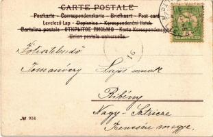 1902 Talpra magyar, hí a haza! Petőfi Sándor a Nemzeti Múzeum lépcsőjén. Hazafias propaganda lap. Se...